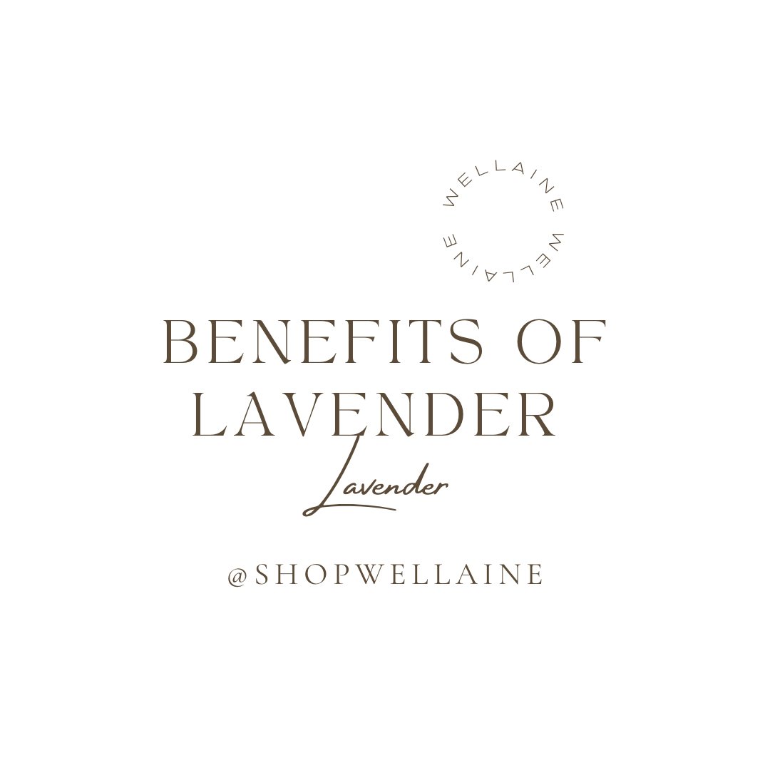 Benefits of Lavender (Essential Oil) - Wellaine