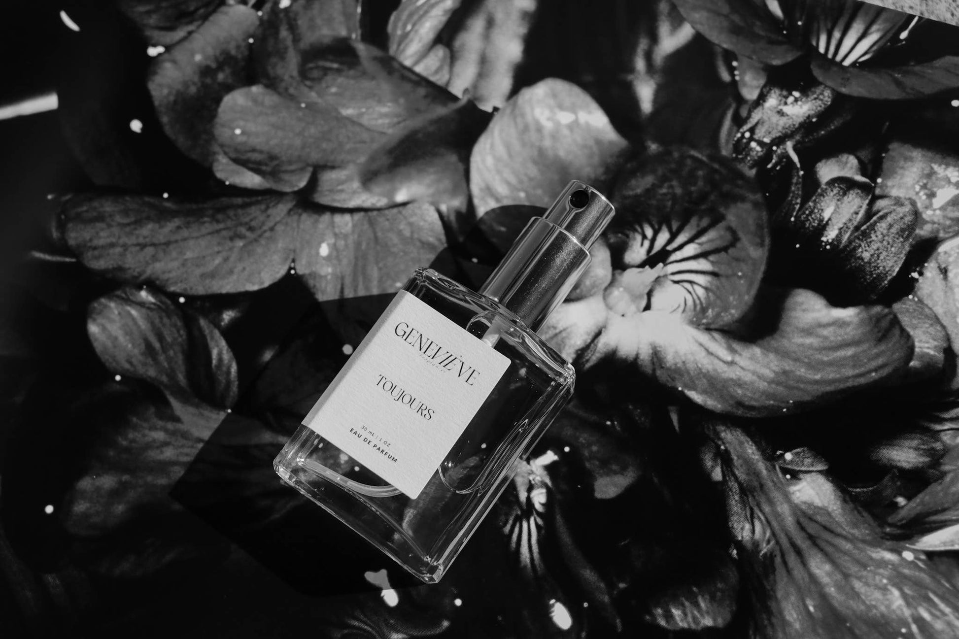 Toujours Eau de Parfum | Warm Tobacco & Vanilla Blend Geneviève Fragrances Default Title Wellaine